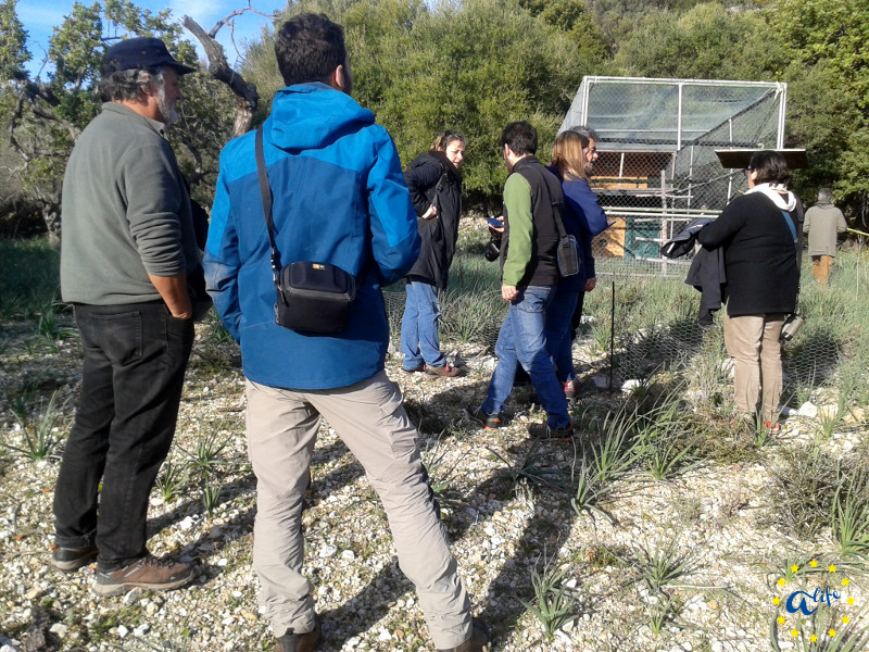 Visita a la jaula-hacking construida por el anterior proyecto LIFE Bonelli en Mallorca para liberar águilas de Bonelli.