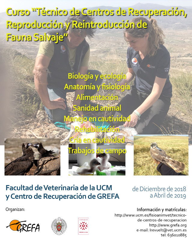 curso para la formación de técnicos de centros de recuperación, reproducción y reintroducción de fauna salvaje
