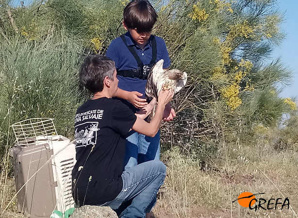 Momento en el que el niño Jorge, padrino del águila "Ojos de Miel", se dispone a liberar a este animal.