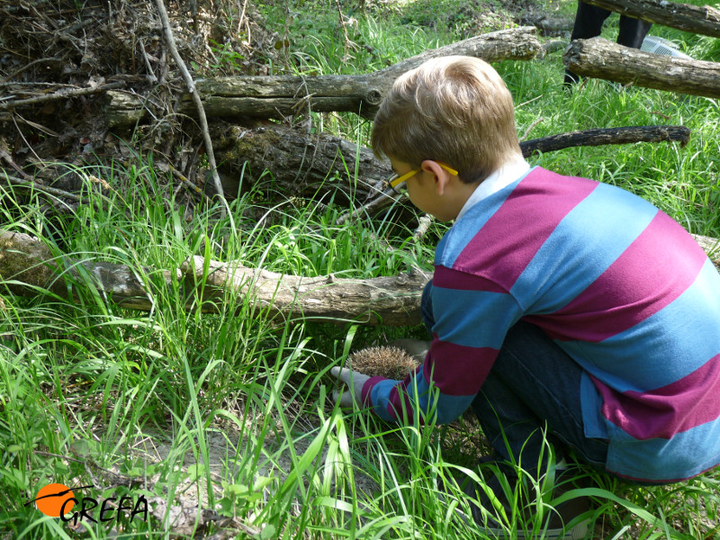 Momento de la liberación de "Espinete" por Jesús.