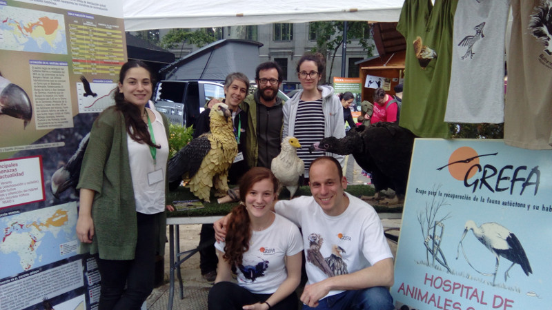 Trabajadores y voluntarios de GREFA en nuestro stand de MADbird 2018.