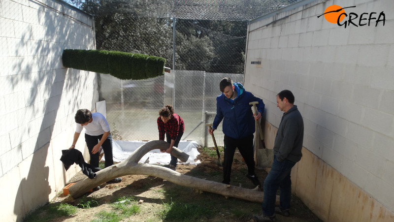 Nacho Otero, responsable del Departamento de Rehabilitación de GREFA, aconseja a los alumnos a la hora de preparar una instalación.