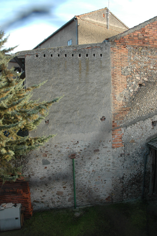 Muro de la antigua fábrica de harinas de Fuentepelayo donde criaba la lechuza el año pasado. Foto: Javier de Villota.