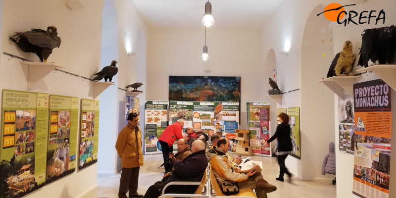 Panorámica de la exposición sobre GREFA inaugurada en el Centro Cívico San Agustín de Burgos.