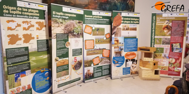 Paneles de la exposición sobre GREFA en el Centro Cívico San Agustín de Burgos.
