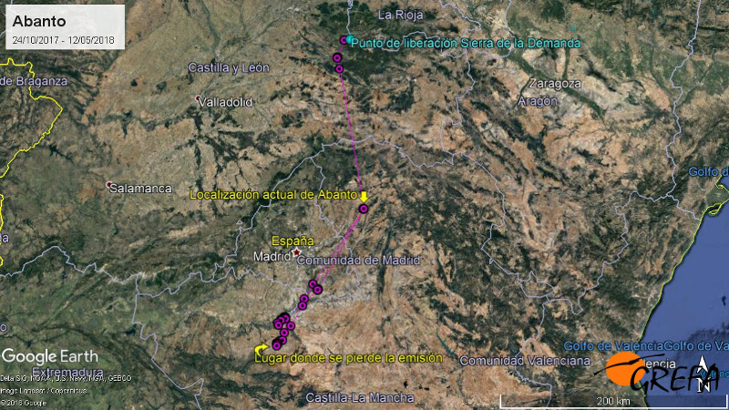 Movimientos del buitre negro "Abanto" desde su liberación en el otoño de 2017.