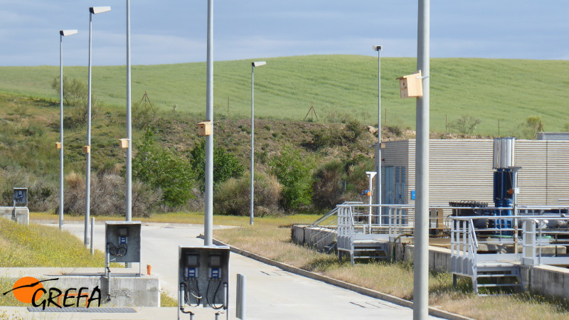 En los postes de estas faroles del recinto de la EDAR La Reguera pueden verse los nidales para pequeñas aves insectívoras que hemos colocado. 