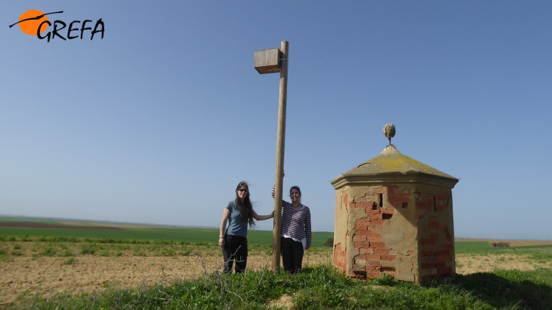 Las voluntarias Miriam y Andrea durante la primera revisión en el municipio vallisoletano de Cuenca de Campos.