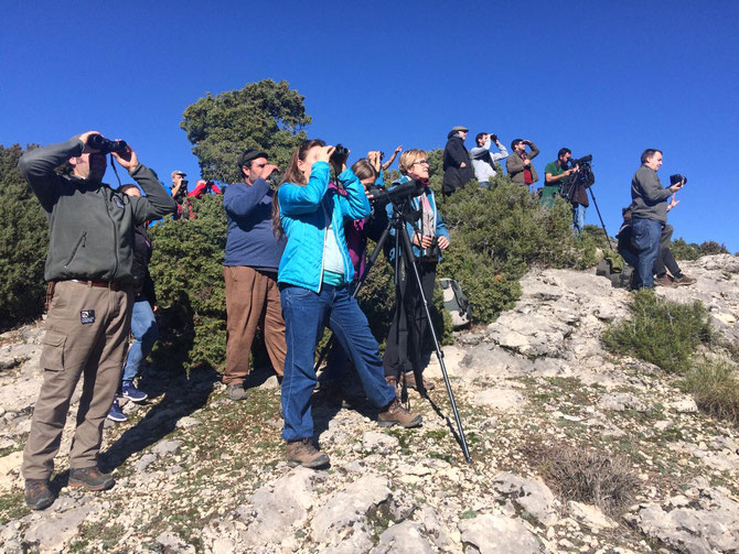 Asistentes al Annual Bearded Vulture Meeting 2018 observan con los prismáticos en uno de los territorios del quebrantahuesos en Cazorla (Jaén). Foto: VCF.