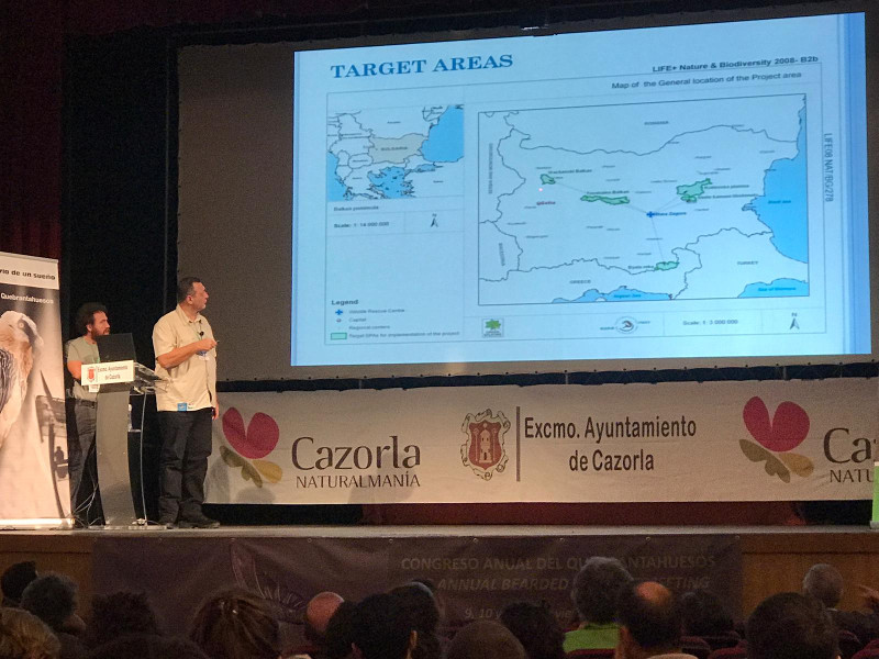 Intervención de la ONG búlgara Green Balkans en el Annual Bearded Vulture Meeting de Cazorla.