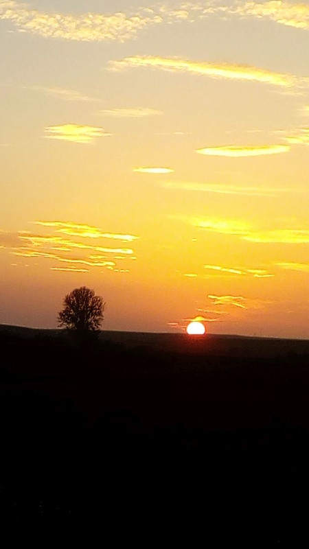 Atardecer en la zona de Tierra de Campos donde GREFA ayuda a las poblaciones de pequeñas rapaces.