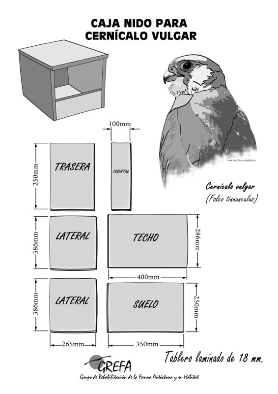 Ficha para construir una caja nido para cernícalo vulgar, tal y como aperece en la nueva guía.