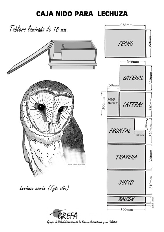Ficha para construir una caja nido para lechuza común, tal y como aperece en la nueva guía.