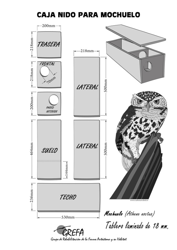 Ficha para construir una caja nido para mochuelo europeo, tal y como aperece en la nueva guía.