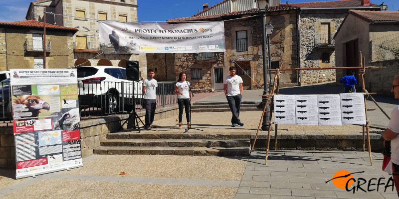 El equipo del Proyecto Monachus en la Sierra de la Demanda explica la liberación de buitres negros el día anterior a la suelta, en la Plaza Mayor de Huerta de Arriba.