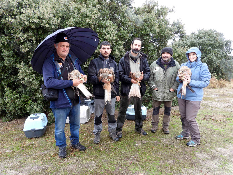 Miembros de GREFA y una "madrina" posan con los cuatro milanos reales poco antes de ser liberados.