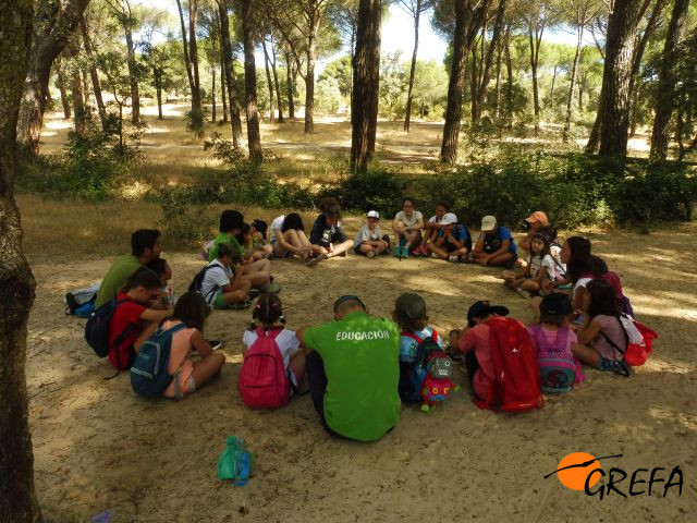 Un grupo de niños participa en un juego de educación ambiental en el Monte del Pilar, el encinar de Majadahonda (Madrid) donde está la sede de GREFA.