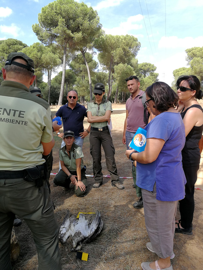 Los asistentes atienden a una de las actividades prácticas realizadas durante el curso, dirigida por el Coordinador Provincialde los Agentes de Medio Ambiente de Cádiz.