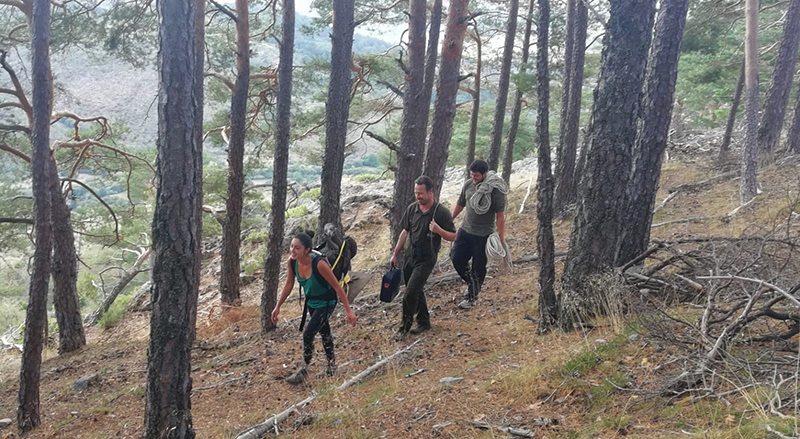 Una comitiva del Proyecto Monachus de GREFA, con el señuelo de buitre negro al hombro, camina hacia la zona donde está la plataforma-nido.