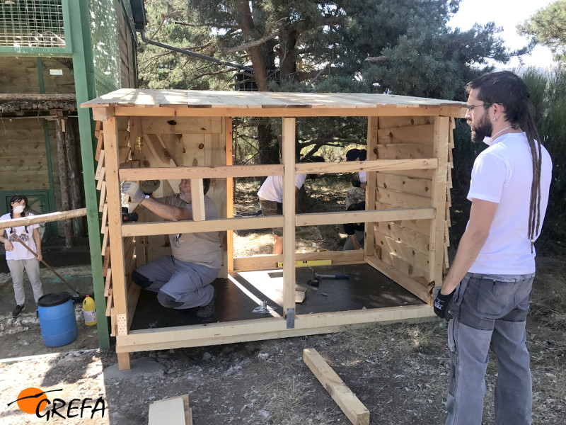 Varios voluntarios del Proyecto Monachus construyen un "hide" (escondite) para observar sin molestias a los buitres negros del jaulón de aclimatación.