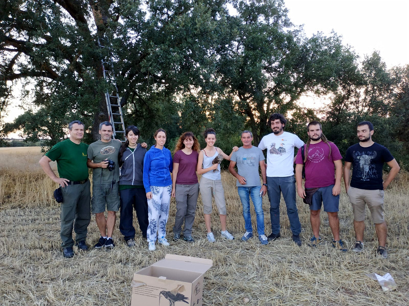 Trabajadores y colaboradores de GREFA posan con el cárabo que fue liberado en un monte con quejigos de Villafruela.