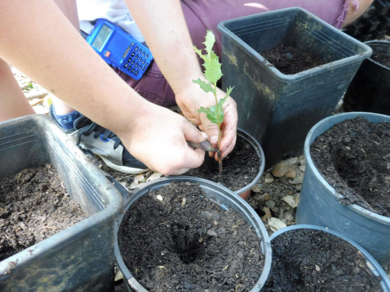 Un niño participa en un taller de GREFA sobre planta autóctona. 