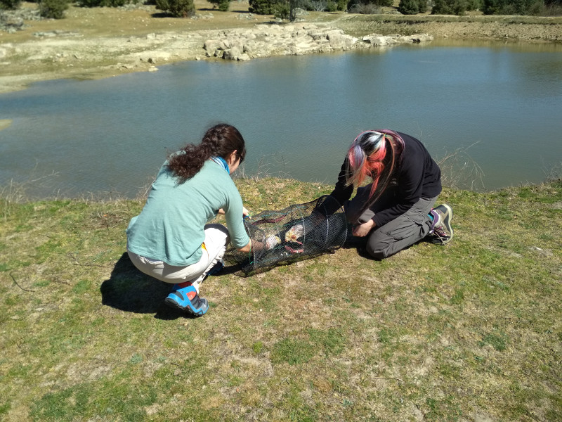 Dos alumnas preparan una nasa para el muestreo de galápagos europeos, durante una clase práctica.