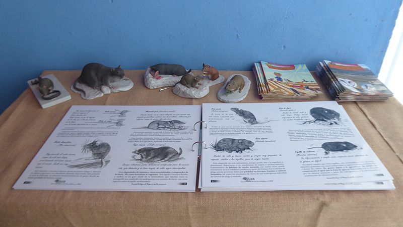 En el módulo dedicado al control biológico del topillo campesino están representados con maquetas, para su identificación, los principales roedores ligados a medios cerealistas.