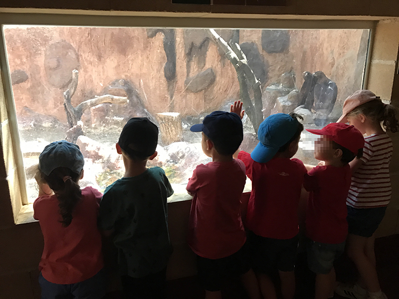 Un grupo de escolares visita el recinto de las grandes rapaces en el centro "Naturaleza Viva" de GREFA.