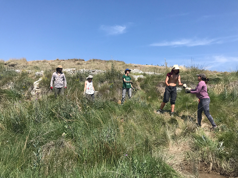 Voluntarios transportan piedras para una charca que están creando en Maderuelo (Segovia).