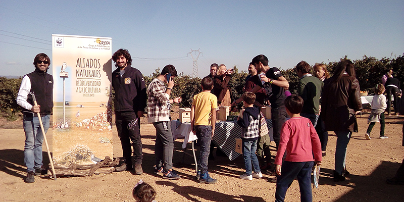 Felipe Fuentelsaz, de WWF España (izquierda), y Carlos Cuéllar, de GREFA, junto al cartel sobre "fauna aliada" durante el taller de cajas nido realizado en la finca "El Cerro" (Carmona, Sevilla).