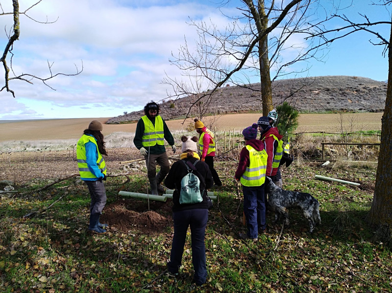 El grupo de voluntarios de GREFA planta árboles autóctonos en Villafruela.