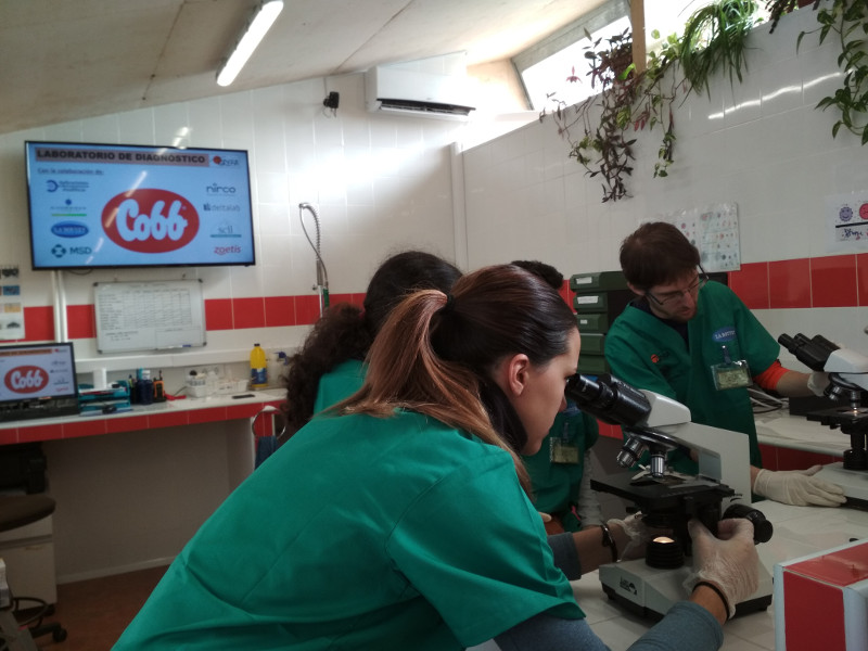 Varios alumnos utilizan microscopios durante la clase de técnicas de laboratorio en el hospital de fauna de GREFA.