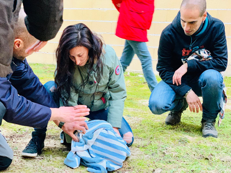 Una voluntaria aprende a capturar un animal siguiendo las indicaciones de David y Dani, encargados del Equipo de Rescate de GREFA.