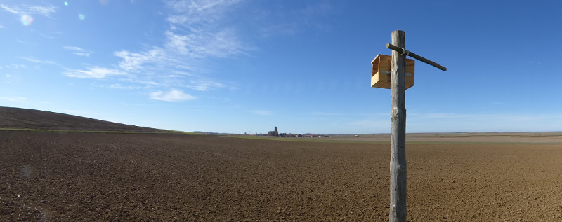 Caja nido para cernícalos colocada en Autillo de Campo (Palencia).