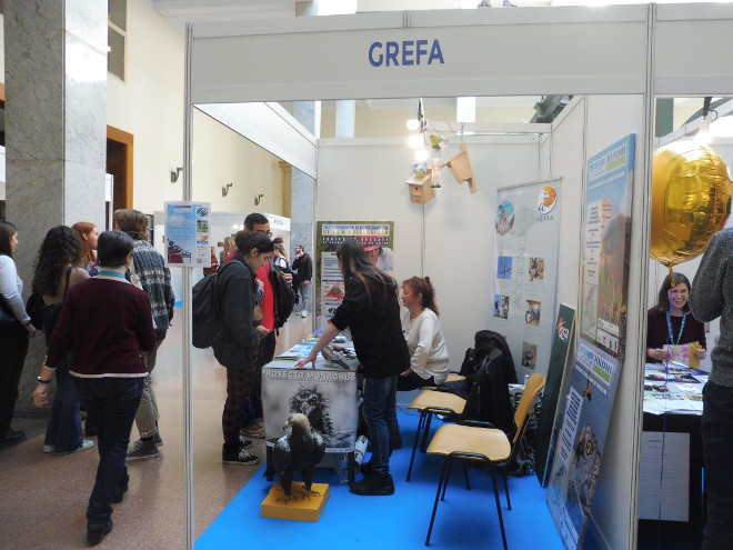 Varios participantes en VolunFair 2019 reciben información en el stand de GREFA.