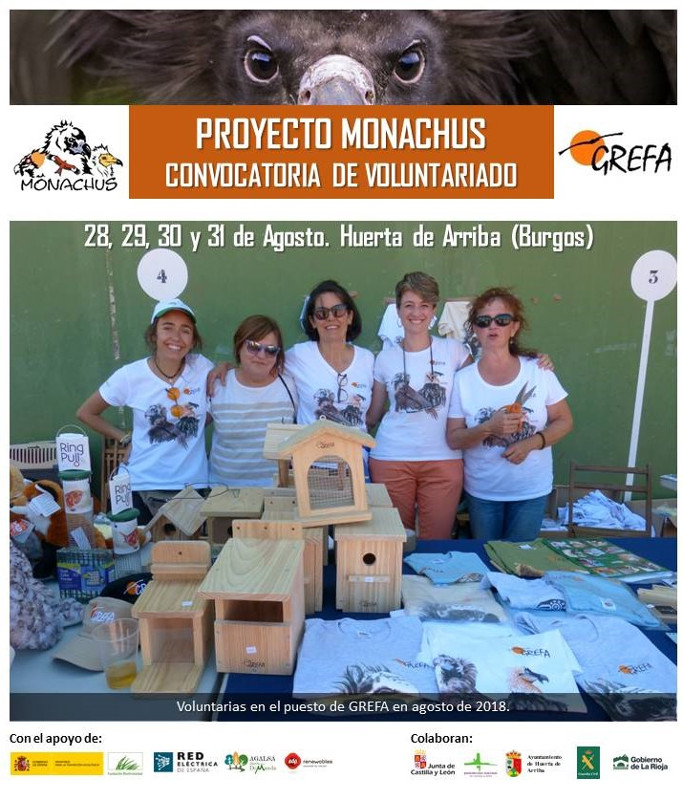 Convocatoria de voluntariado: ahora puedes participar en la recuperación del buitre negro en la provincia de Burgos