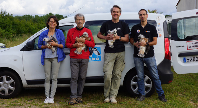 Participantes en el traslado de águilas de BParticipantes en el traslado de águilas de Bonelli, en el centro de cría de La Vendée (Francia), con los cuatro pollos de la especie. De izquierda a derecha, Elena Munuera (voluntaria de GREFA), Christian Pacteau (UFCS/LPO), Miguel Marco (voluntario de GREFA) y David Gutiérrez (Equipo de Rescate de GREFA). nelli, en el centro de cría de La Vendée (Francia), con los cuatro pollos de la especie.