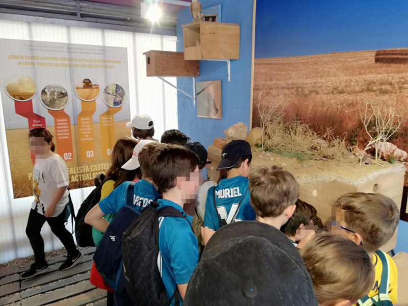 Un grupo de alumnos visita el espacio expositivo dedicado al control biológico del topillo mediante rapaces depredadoras de estos roedores.