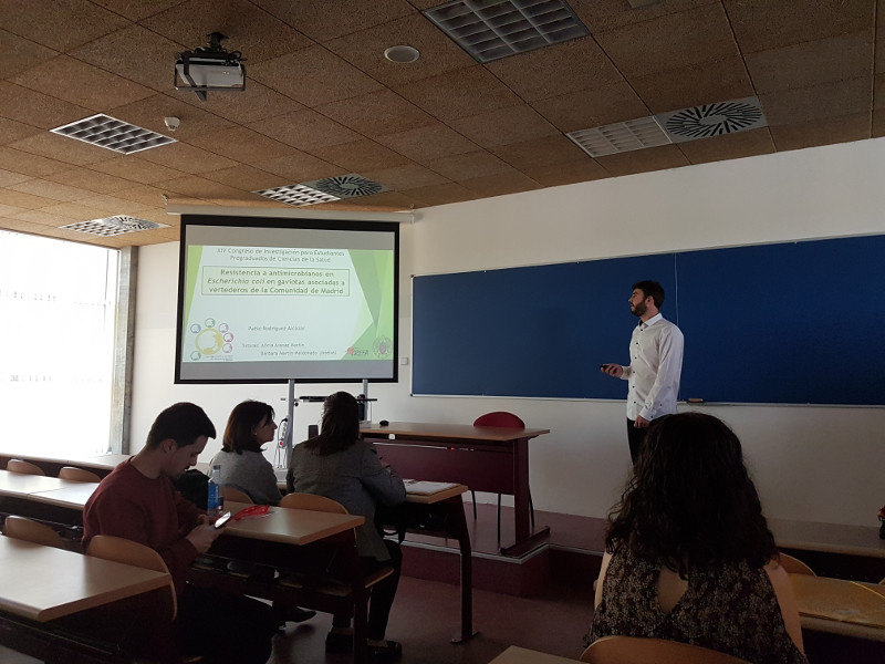 Pablo Rodríguez Alcázar presenta su trabajo sobre resistencias a antimicrobianos en gaviotas en un reciente congreso de jóvenes investigadores celebrado en Madrid.