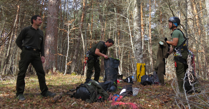 Miembros del Grupo de Intervención de Altura de los Agentes Forestales de La Rioja (GIAR), durante la colocación de una plataforma de nidificación para el buitre negro en Canales de la Sierra (La Rioja).