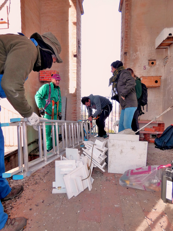 Miembros de GREFA Andalucía distribuyendo el material para reparar el daño causado por los vándalos en la colonia de cernícalo primilla que hay en la ermita de los Desamparados, en Pedro Abad (Córdoba).