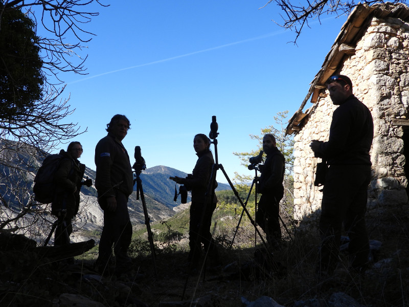 Miembros de GREFA y Trenca durante el seguimiento con telescopios de la reproducción del buitre negro en Boumort.