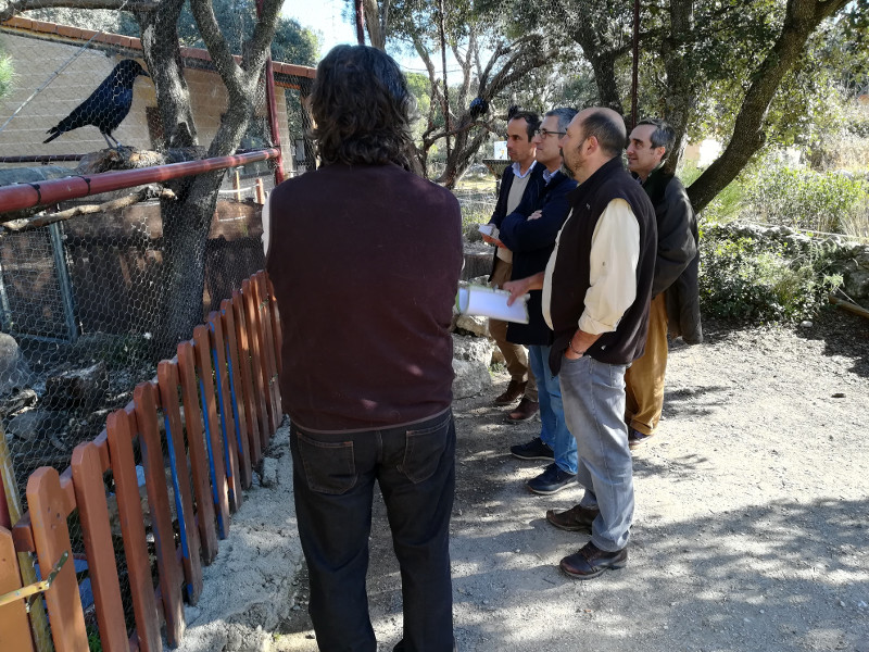 La delegación del Miteco observa a una corneja en el recinto de córvidos de nuestro centro de educación ambiental "Naturaleza Viva".