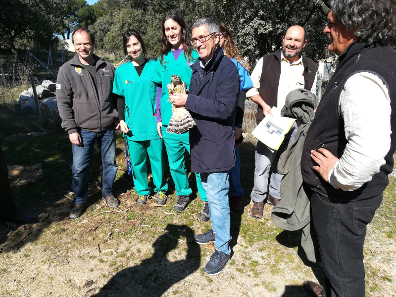 Hugo Morán, secretario de Estado de Medio Ambiente, con un azor en las manos a punto de ser liberado, acompañado de personal de GREFA.