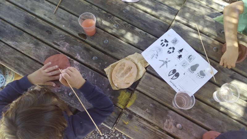 Varios niños del grupo de altas capacidades participan en un taller de huellas de animales silvestres.
