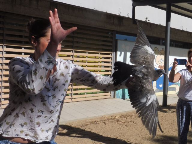 Momento de la liberación de una paloma torcaz por una profesora del colegio CEIP "Príncipes de Asturias", de Quijorna (Madrid).