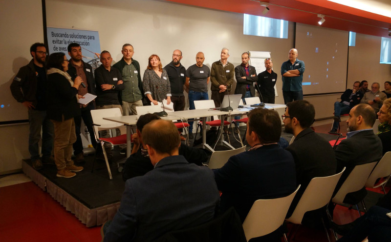 Foto de grupo de los representantes de las entidades socias de la Plataforma SOS Tendidos Eléctricos, durante el taller celebrado en Madrid el pasado 14 de marzo.