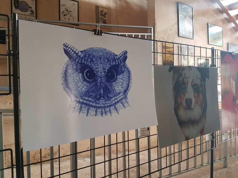 "Bic el búho" fue la obra que quedó en segundo lugar en el premio "Arte y Naturaleza".