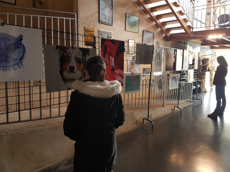 El público observa la exposición "Arte y Naturaleza" en la sede de GREFA.